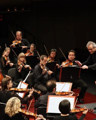 Theotime Langlois De Swarte