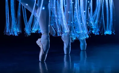 Ballet of Lights