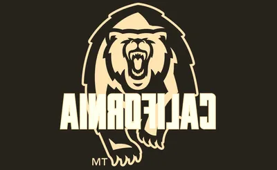 California Golden Bears Baseball