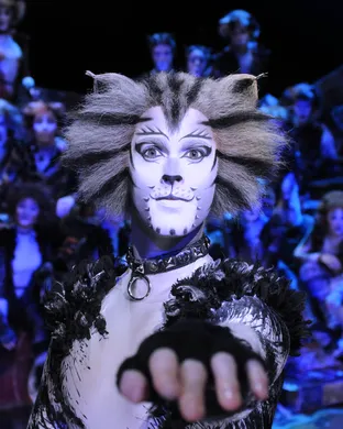 Cats - The Musical