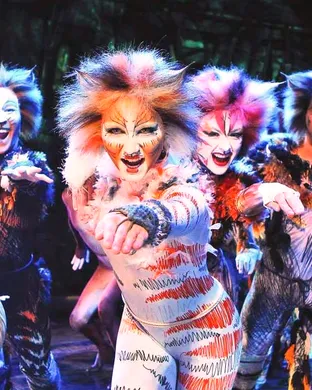 Cats - The Musical