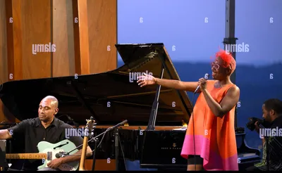 Cecile McLorin Salvant
