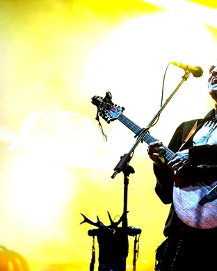 Faun San Francisco