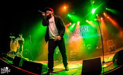 Fortunate Youth
