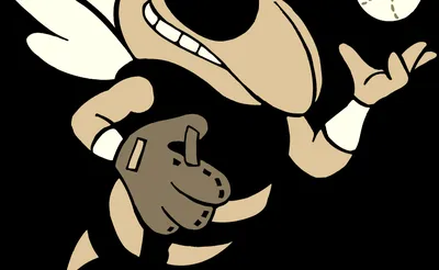 Georgia Tech Yellow Jackets