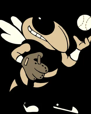 Georgia Tech Yellow Jackets