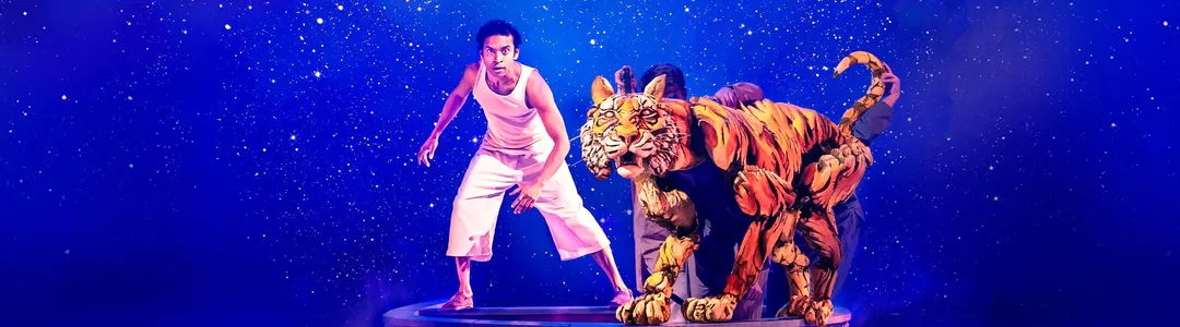 Life of Pi
