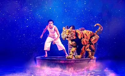 Life of Pi