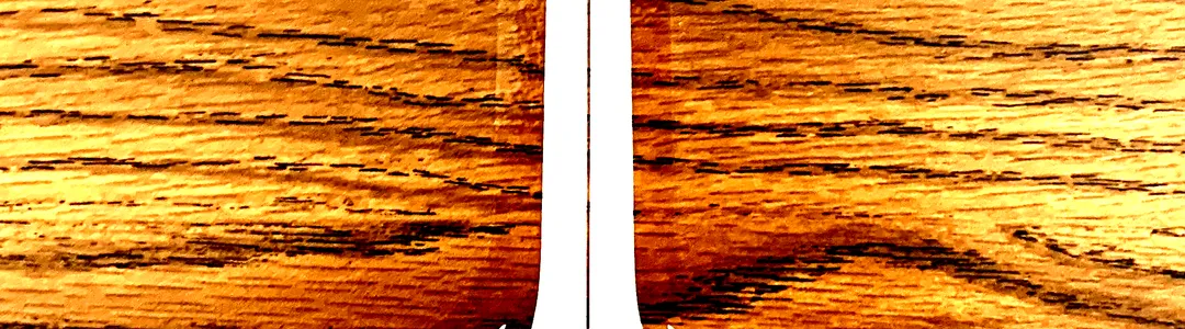 Magic Sword