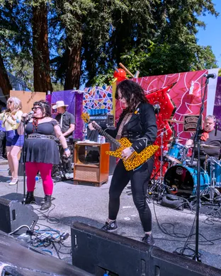 Mosswood Meltdown Oakland