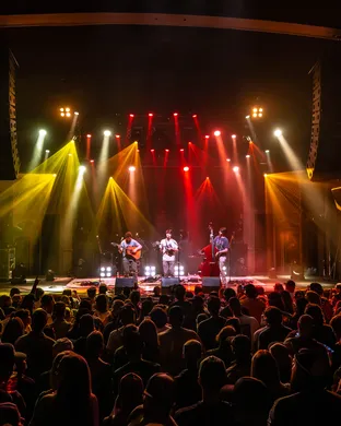 Live concert by Mountain Grass Unit