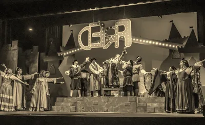 Once Upon a Mattress