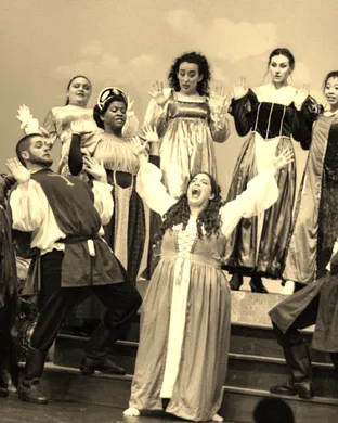 Once Upon a Mattress