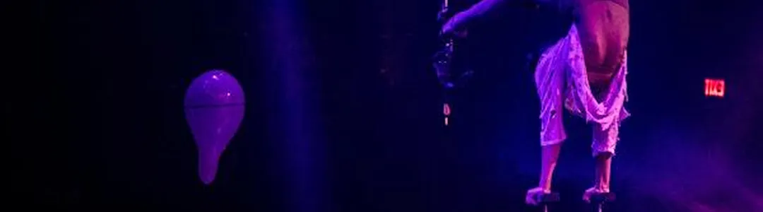 Paranormal Cirque Voodoo