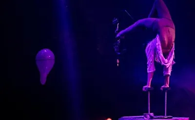 Paranormal Cirque Voodoo