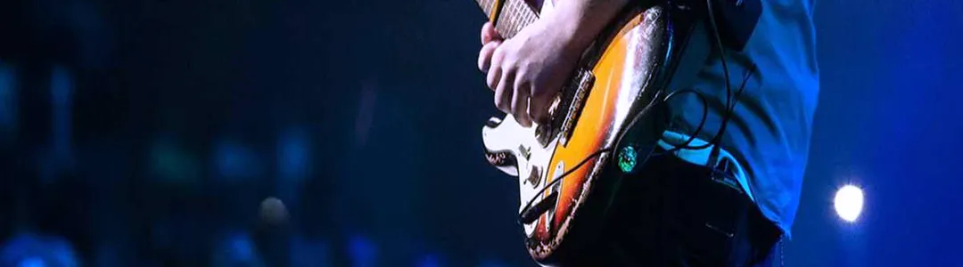 Petty Theft - Tom Petty Tribute Band