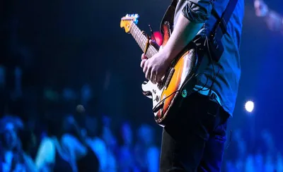 Petty Theft - Tom Petty Tribute Band