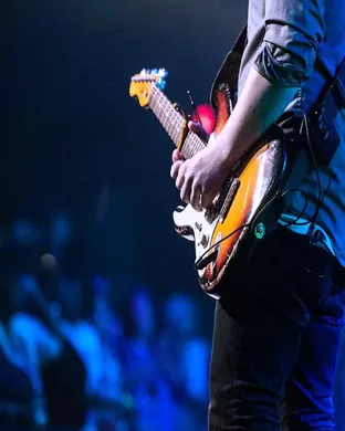 Petty Theft - Tom Petty Tribute Band