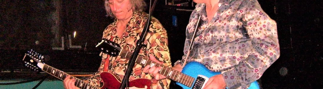 Robyn Hitchcock