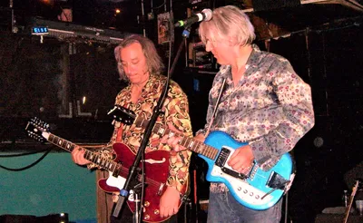 Robyn Hitchcock