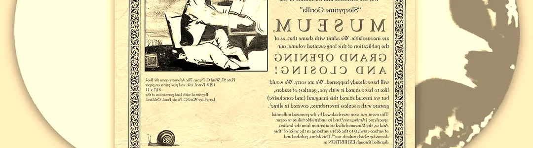 Sleepytime Gorilla Museum