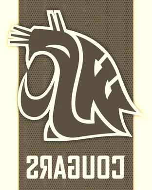 Washington State Cougars
