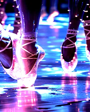 We Call It Ballet: Sleeping Beauty Dance and Light Show San Francisco