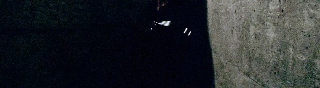 Zhu