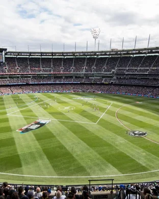 Major League Cricket: San Francisco Unicorns vs. Texas Super Kings sports event